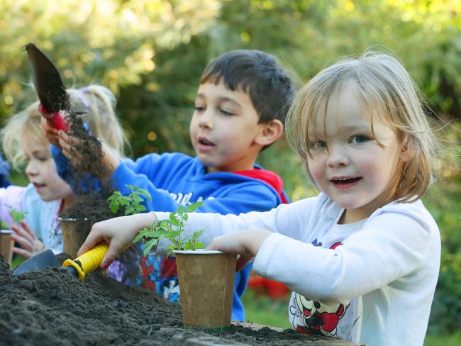 Gardening with kids is educational but lacks instant gratification ...