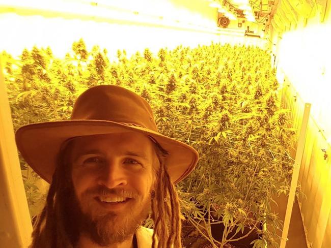 Tom Forrest visits a medicinal cannabis grow room.