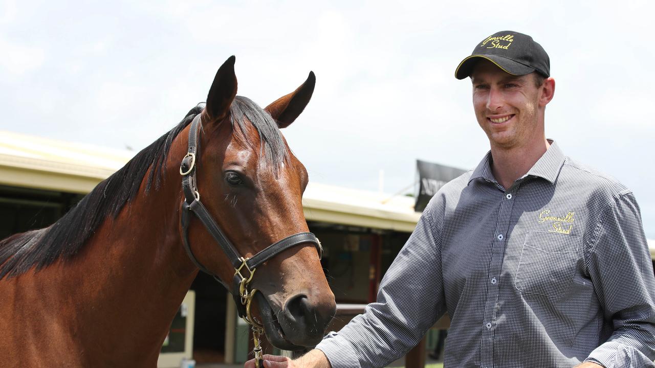 Tasmania Racing Magic Million yearling sales grosses new record of 4.