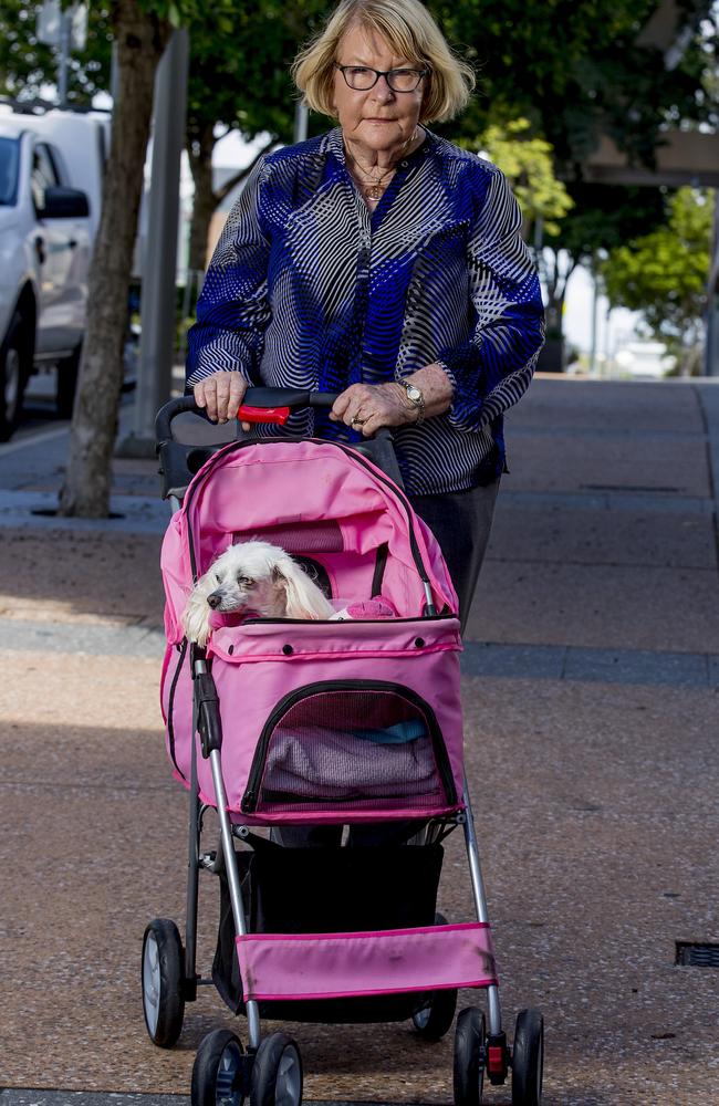 Gold Coast Councillor Dawn Crishlow and Princess Pookie love meeting locals on their walk down Scarborough Street. Picture: Jerad Williams