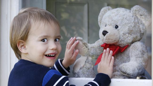 Teddy, 3, meets teddy in Pakenham. Picture: David Caird