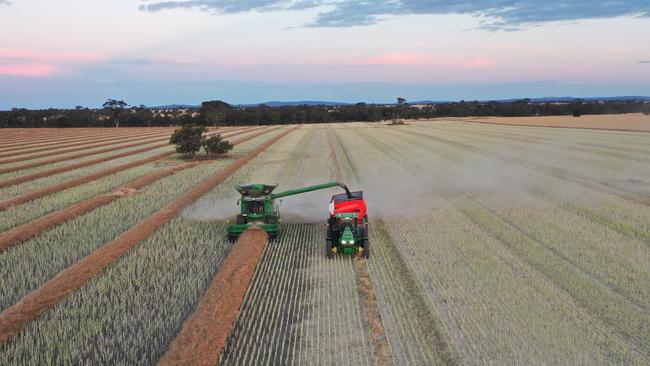 The Taylor family have sold 790ha of Carrs Plains, a mixed-farming property on Victoria’s Wimmera Plains.