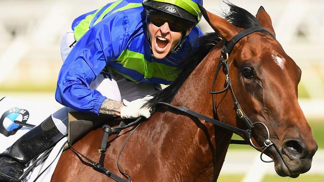 Nick Hall celebrates after Jameka blew her rivals away in the Caulfield Cup.