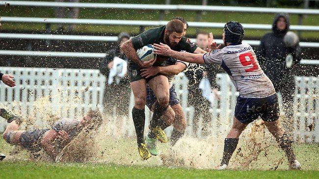 Randwick Rugby