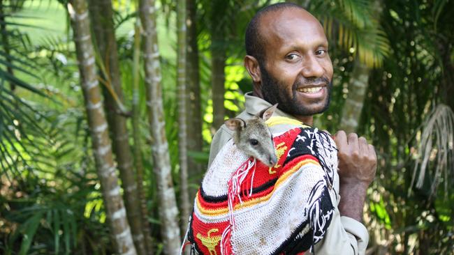 Wildlife Manager Ishimu Bebe carrying an orphaned Agile wallaby joey handraised at the Port Moresby Nature Park. Picture: Michelle McGeorge