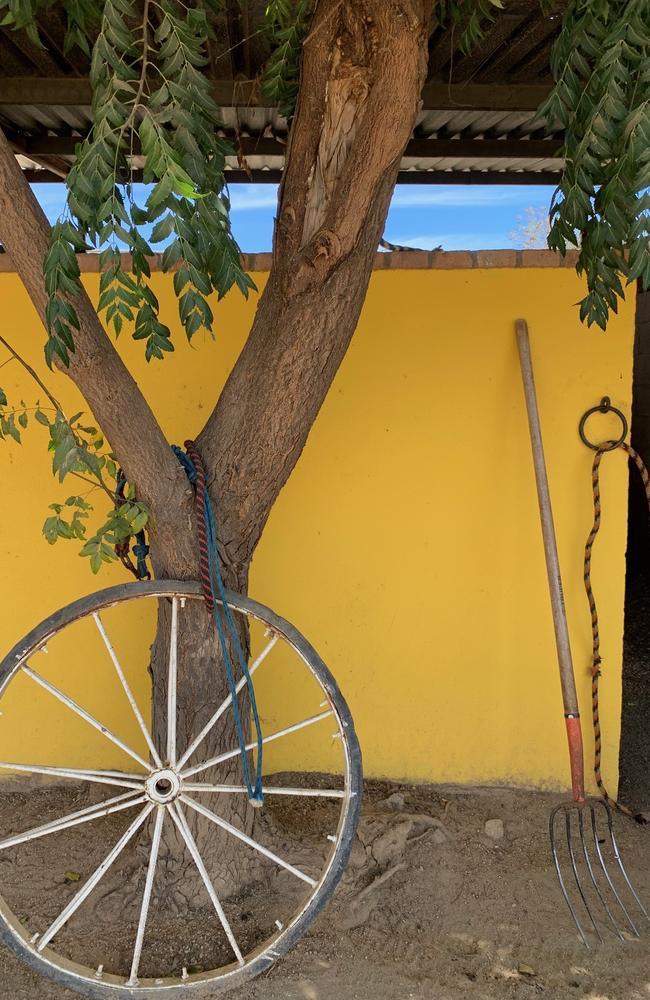 Set among the cactus sits Cuadra San Francisco, a working ranch just off the Sea of Cortez.