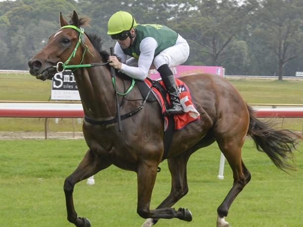 Kattegat returns for Forbes on Sunday looking for his second win in the Ben Hall Bullett. Picture: Bradley Photos