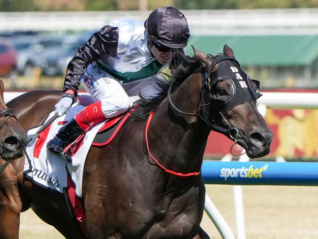 Mr Brightside (NZ) ridden by Craig Williams wins the Lamaro's Hotel Futurity Stakes at Caulfield Racecourse on February 22, 2025 in Caulfield, Australia. (Photo by George Sal/Racing Photos via Getty Images)