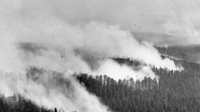 Kuitpo State Forest, south of Adelaide, burns during the 1983 Ash Wednesday inferno.