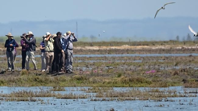 Green Swamp will be closed to hunters for the rest of the season. Picture: File