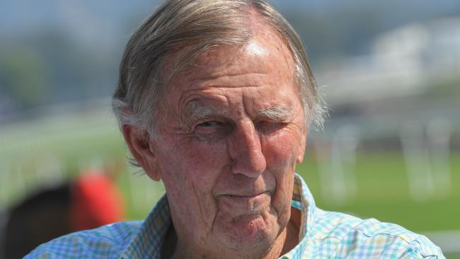 Wonder if Singo woos the ladies with a wink? Picture: AAP Image/Simon Bullard.