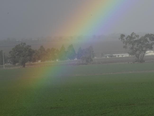 Brian Curlin at Corop, cropping and mixed farming, watches for rain. Rainbow.