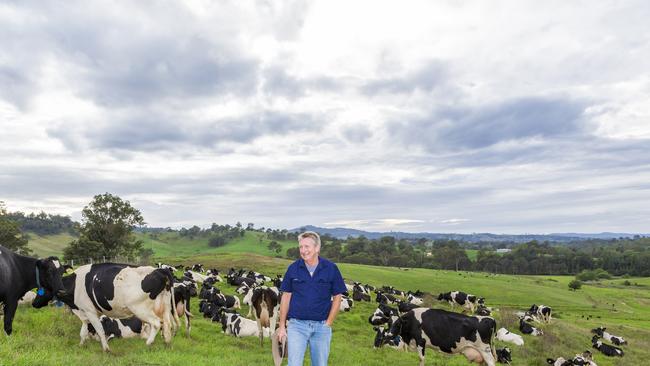 Bega Cheese executive chairman Barry Irvin on his Bega Valley dairy farm. Picture: Robert Hayson/supplied.