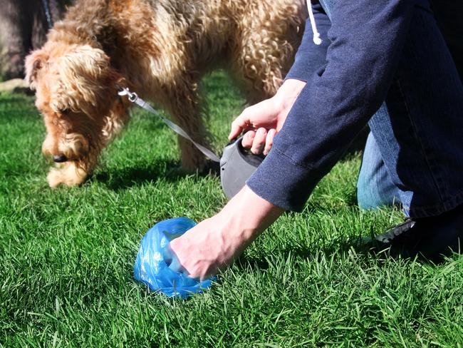 Some pet owners don’t like picking up dog poo.