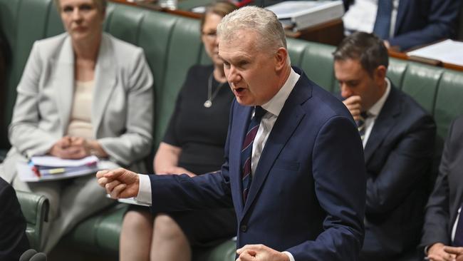 Tony Burke during Question Time at Parliament House in Canberra. Picture: NCA NewsWire / Martin Ollman