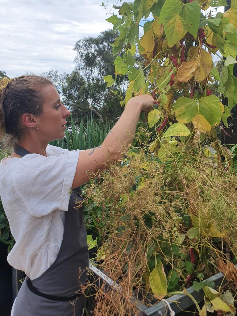 Jo Barrett picks beans from the garden. Picture: Charis Chang