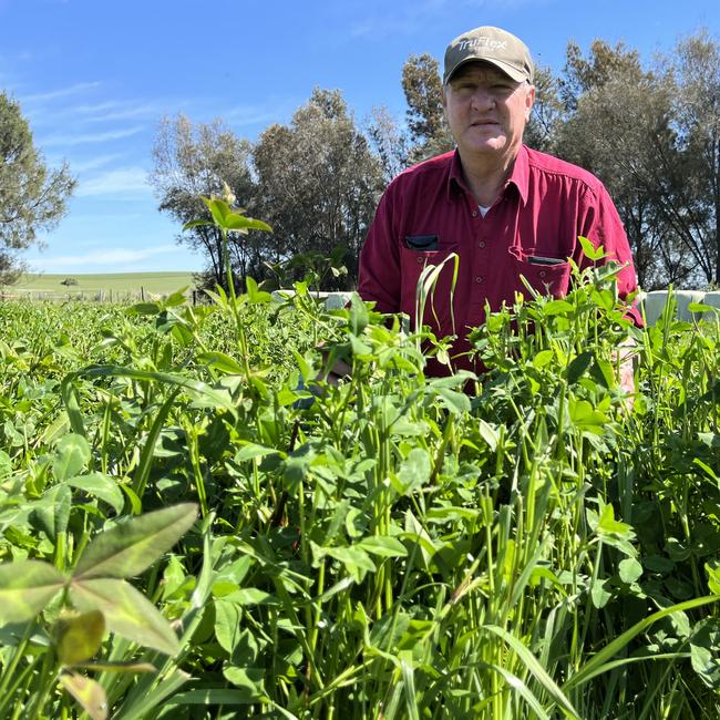 Agronomist and farmer Don Kirkpatrick of Maxwell in southern NSW. Picture: Nikki Reynolds