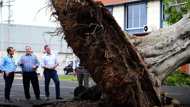 Tim Nicholls surveys storm damage in Bundaberg, Wednesday, November 8, 2017. Picture: Dan Peled