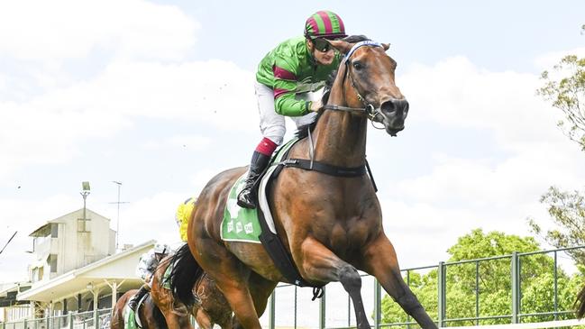 Veravino finds hersef in a suitable race to break her maiden status at Hawkesbury. Picture: Bradley Photos