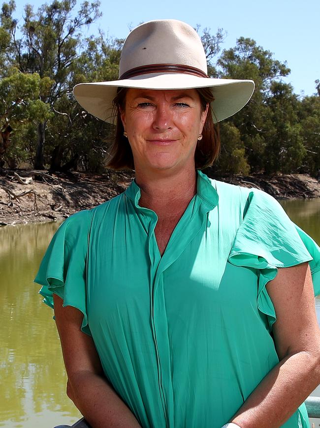 Water, Property and Housing Minister Melinda Pavey. Picture: Toby Zerna