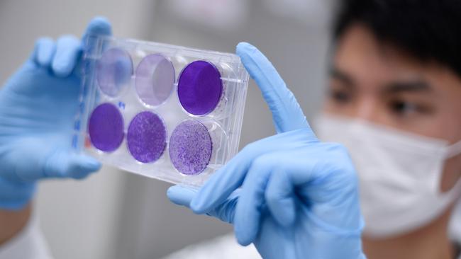 A researcher works on virus replication in order to develop a vaccine against COVID-19. Picture: AFP