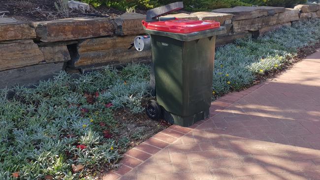 The wheelie bin at the Golden Grove reserve where the body of a decapitated cat was retrieved from. Picture: COLIN JAMES