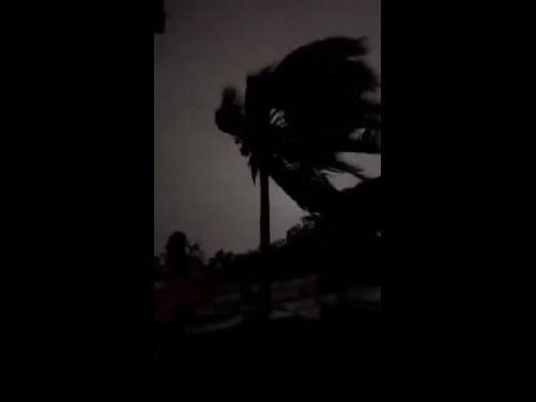 Palm Trees Sway as Hurricane Beryl Hits Mexican Island