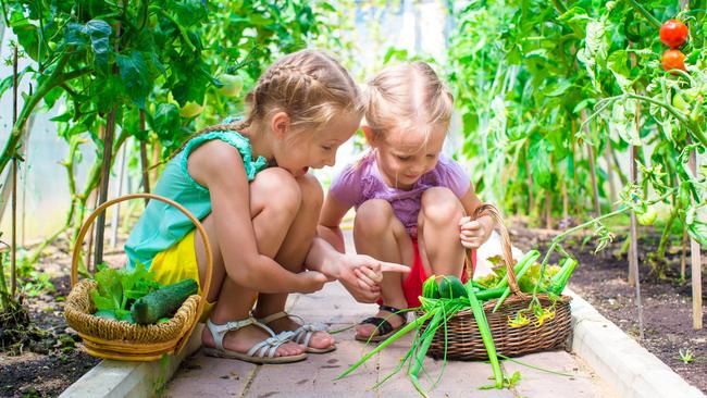 Yates is searching for Australia's next top gardener targeting children 16 years and under. It is particularly interested in getting kids involved in growing their own food.