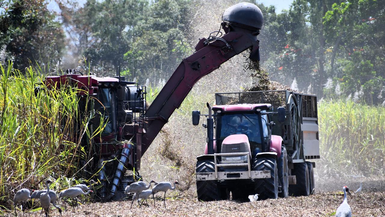 The Herbert River sugar-cane harvest at Toobanna south of Ingham, Hinchinbrook Shire. Please attribute. Picture: Cameron Bates