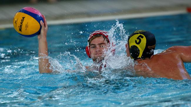 Photo gallery: Central Coast Water Polo finals | Daily Telegraph