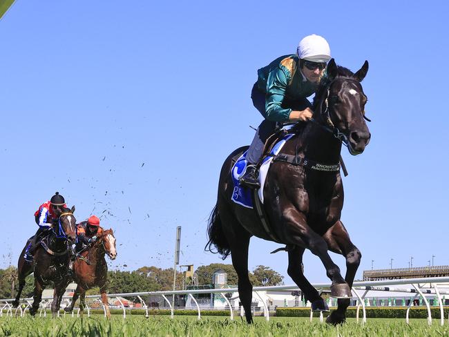 SYDNEY, AUSTRALIA - SEPTEMBER 21: Hugh Bowman on Kalashnikov wins heat 2 during the barrier trials at Royal Randwick Racecourse on September 21, 2020 in Sydney, Australia. (Photo by Mark Evans/Getty Images)