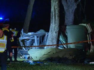 The vehicle became wedged between two trees. Picture: TNV