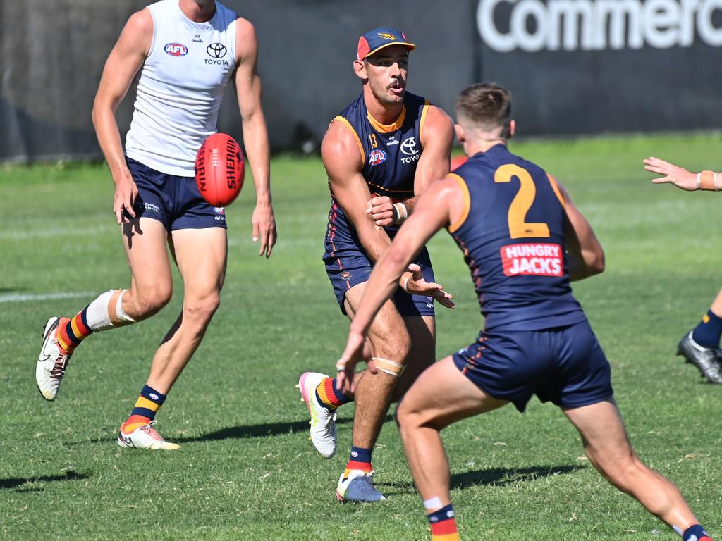 Walker is in great shape ahead of his 18th season. Picture: Keryn Stevens