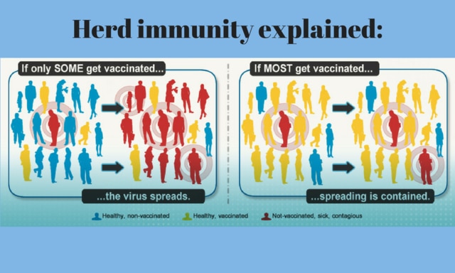Herd immunity explained-