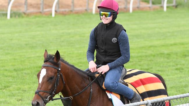 The Aidan O'Brien trained Rostropovich has a touch of class and can stay. (AAP Image/James Ross) NO ARCHIVING