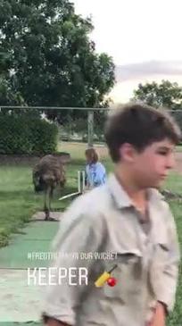 Fred the Emu plays cricket