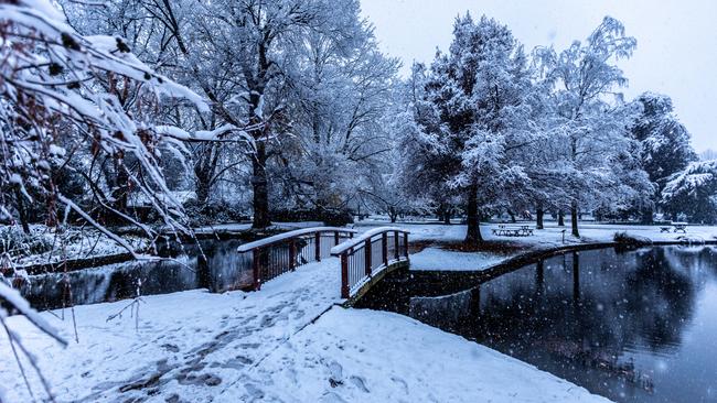 ORANGE , AUSTRALIA - NewsWire Photos JUNE 10, 2021: Heavy snowfall is pictured in the Orange Botanical Gardens in mid-western NSW as the region is blasted with freezing temperatures. NCA NewsWire /Troy Pearson