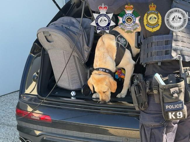 A technology detection dog inspects a vehicle as part of the investigation. Picture: AFP