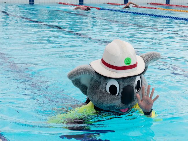 Blazer in the pool at the Mackay Aquatic & Recreation Complex for the Fire and Rescue Service, Movember event consisting of a 60km pool swim.Blazer is Inspector Jock Crome.Picture: Michaela Harlow