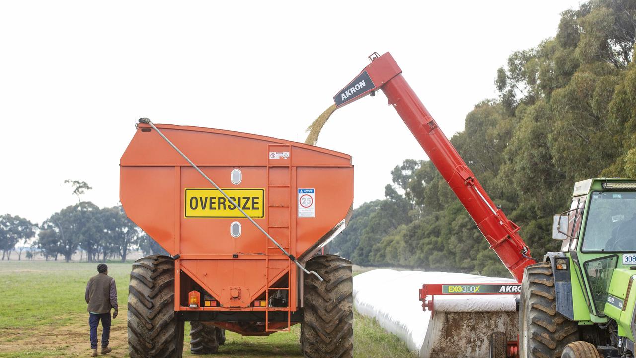 Australian barley sales to China have bounced back stronger than ever. Picture: Zoe Phillips