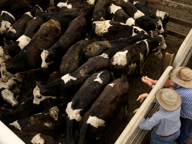 Australia’s agricultural sector could benefit from a no-deal Brexit scenario, at the expense of British farmers. Picture: Andy Rogers