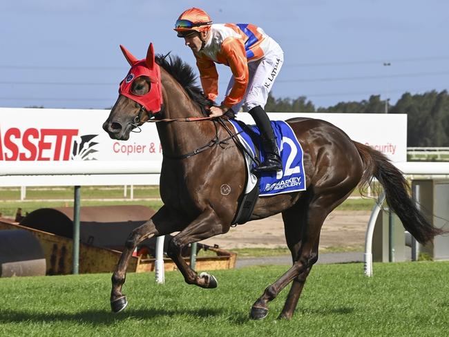 Cuban Rain can end the day on a high note at Kembla. Picture: Bradley Photos