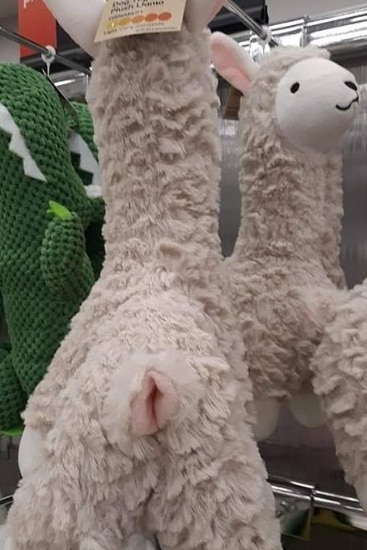 Kmart llama toy for dog s x rated design shocks the internet Photo