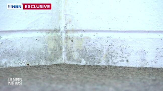 Black mould 'eating away' at family home (9News)