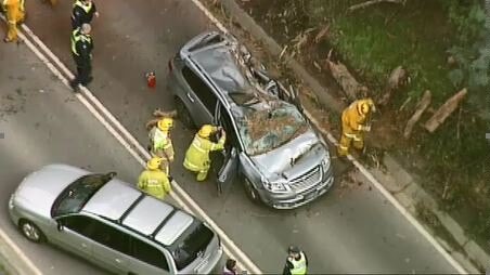 Emergency workers help get the pair out after the tree fell in Belgrave.