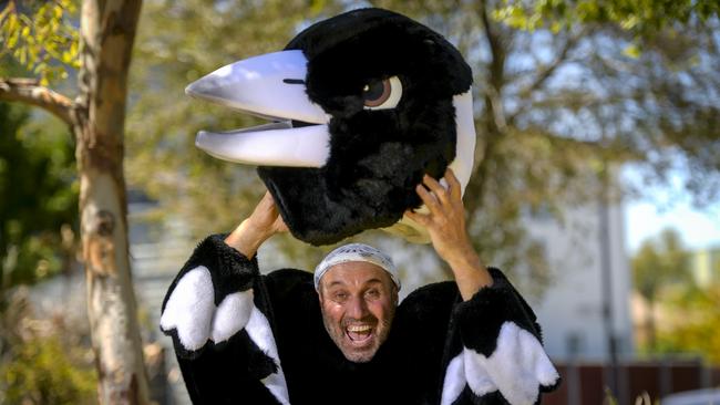 Magpie Man Mark Muscat in his native habitat. Picture: Roy VanDerVegt