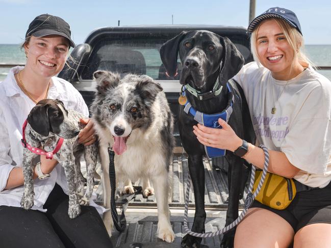 ADELAIDE, AUSTRALIA - October 7, 2023:  The Voicewagen Nelson in Henley Beach talking to people about the Voice Referendum. Leesa Flanagan of Ngapala and Phoebe Heinrich of Kidman Park with dogs Clifford, Lexi and Winnie. Picture: Brenton Edwards