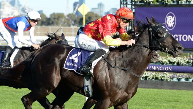 Gold Bullion (Blake Shinn) wins at Flemington in September. Picture: Ross Holburt / Racing Photos