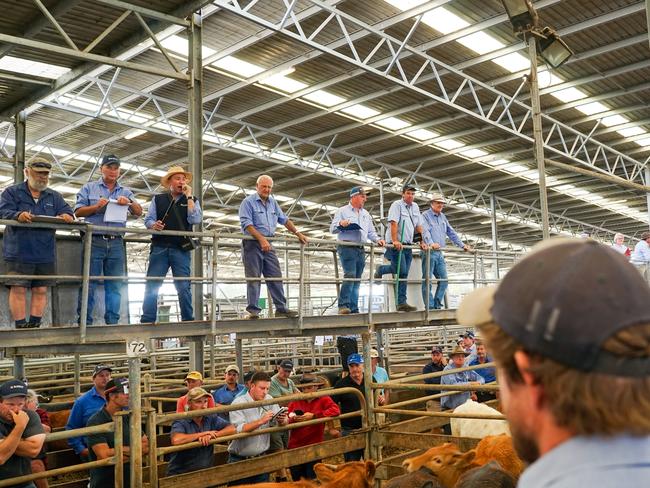 Selling action from Colac. Picture: Rachel Simmonds