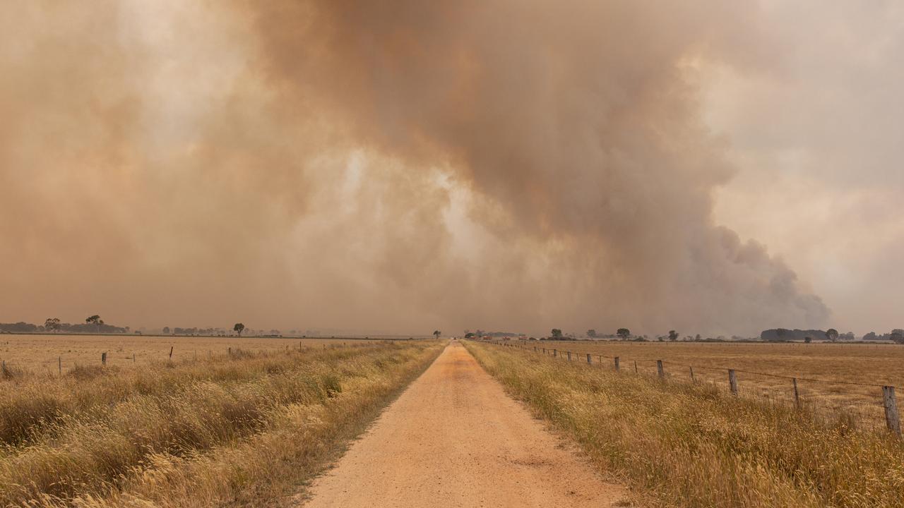 The fire has burned more than 75,000 hectares to date. Picture: NewsWire / Diego Fedele